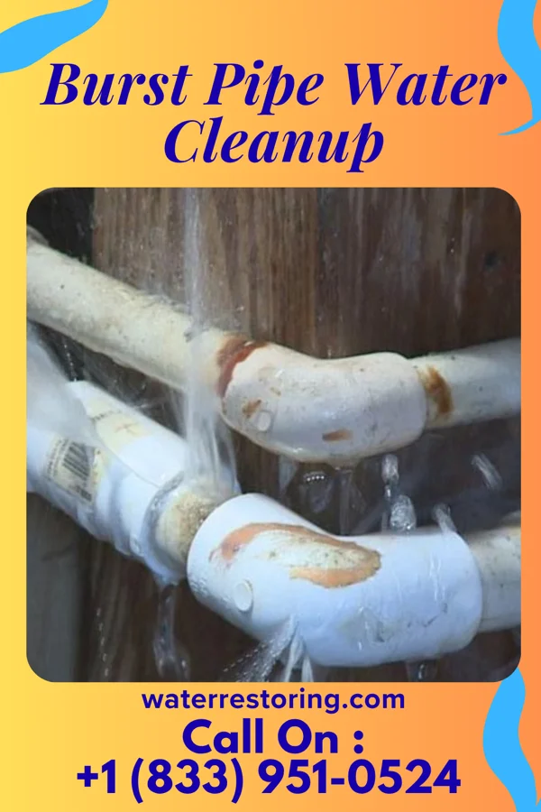 Burst Pipe Water Cleanup in Beesleys Point, NJ