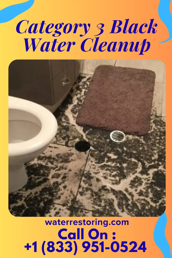 Category 3 Black Water Cleanup in Beesleys Point, NJ