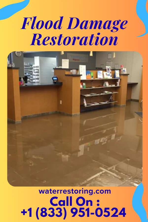 Flood Damage Restoration in Beesleys Point, NJ