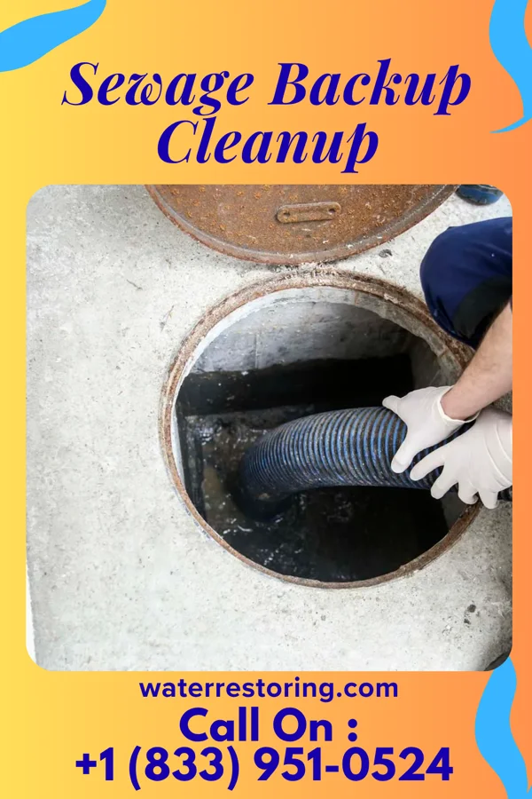 Sewage Backup Cleanup in Beesleys Point, NJ