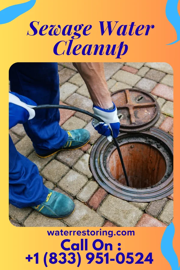 Sewage Water Cleanup in Beesleys Point, NJ